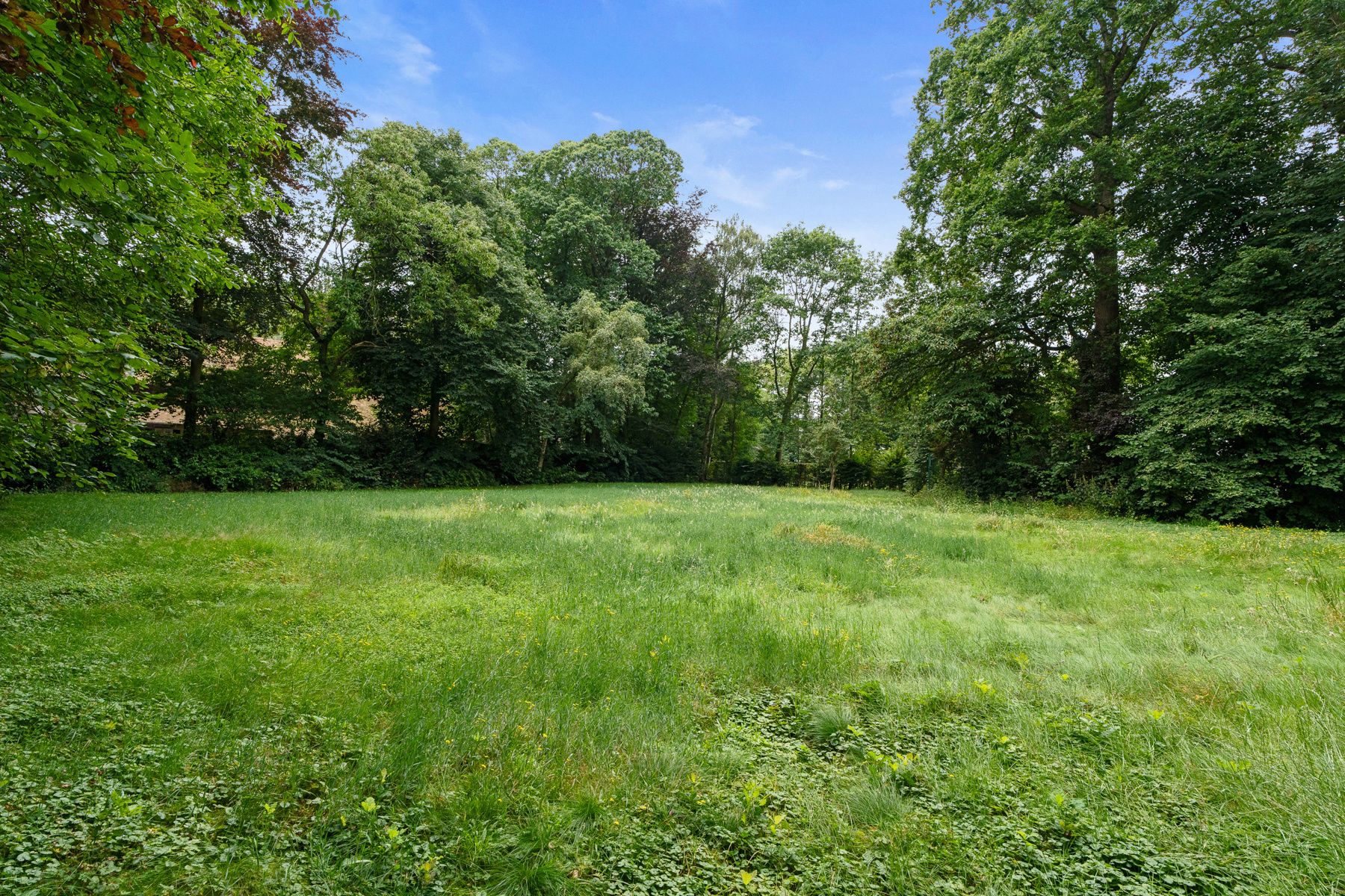 Uitzonderlijk landhuis op een exclusief perceel van 4.490 m² foto 11