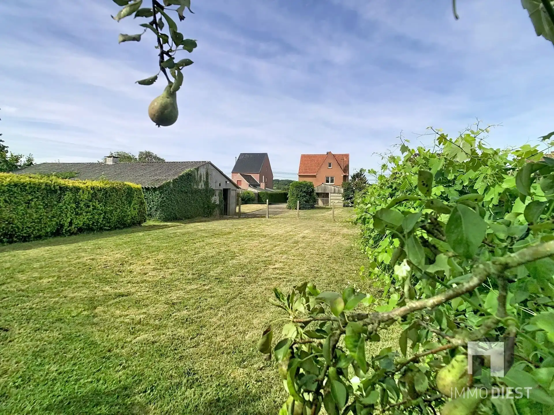 Landelijke gezinswoning met stal en mooie mogelijkheden op rustige locatie foto 38