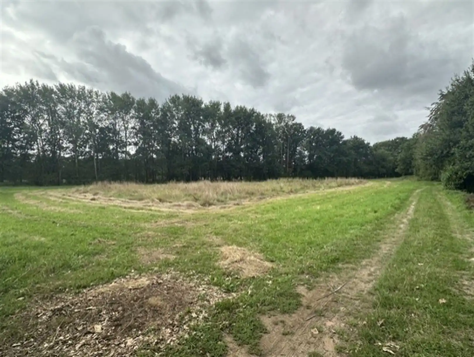 Grond te koop Schanslaan - 2970 Schilde