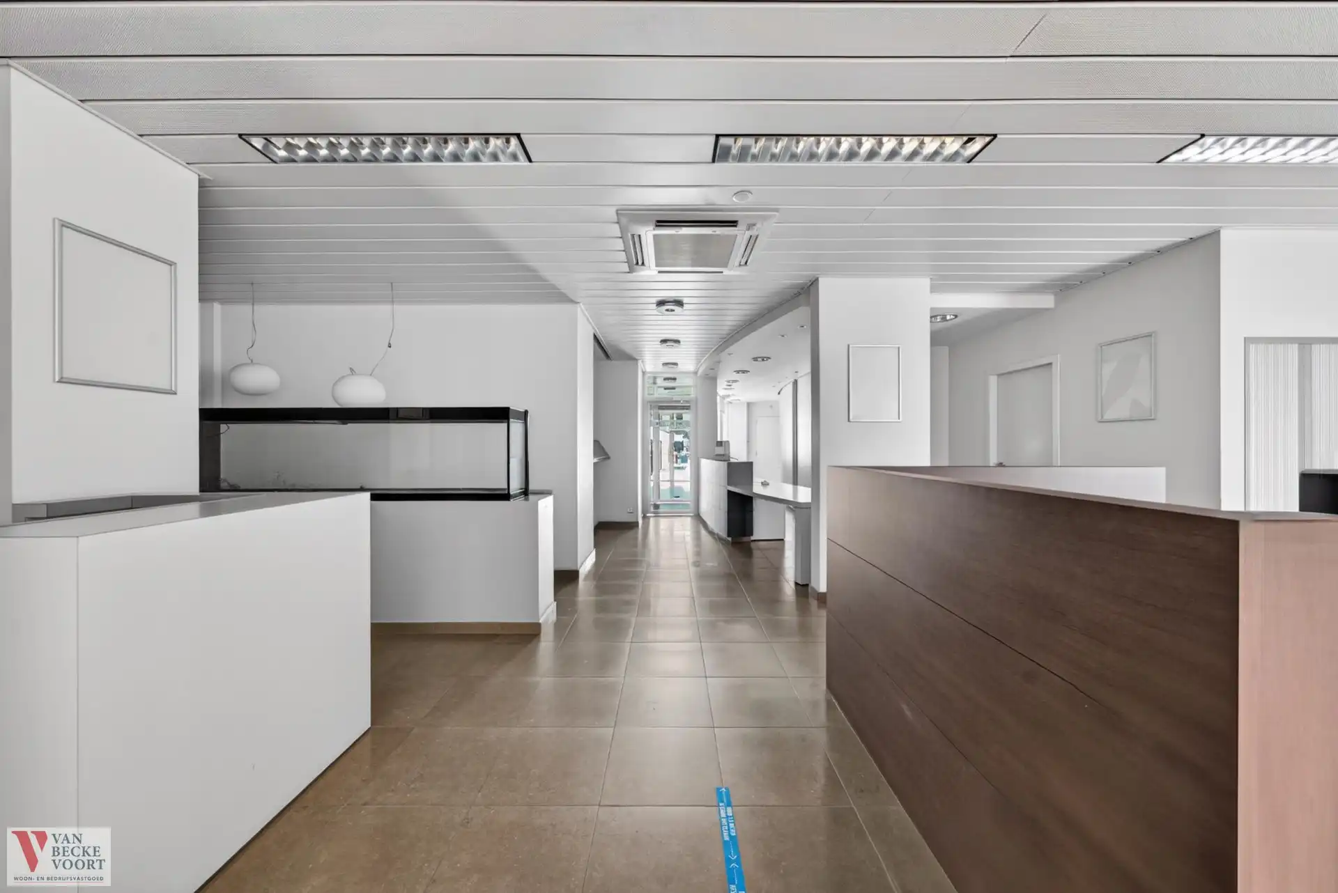 Handelsgelijkvloers 217m² + 6 autostandplaatsen foto 5