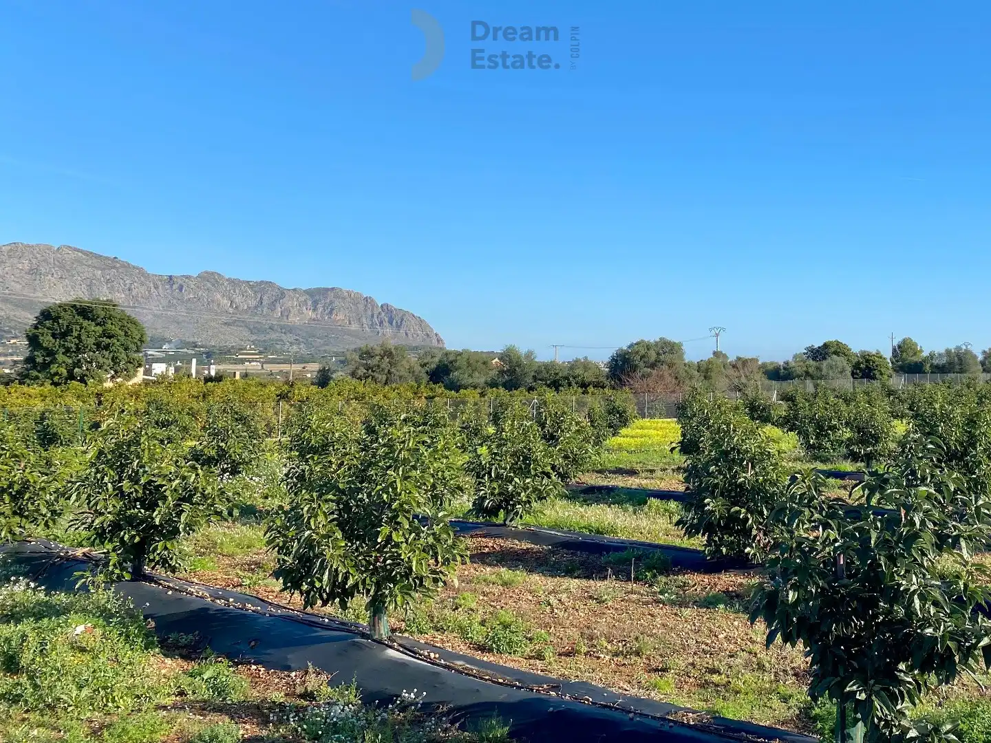 Villa Benidoleig – Exclusieve Nieuwbouwvilla met Avocadoplantage en Panoramisch Uitzicht Benidoleig, Costa Blanca foto 5