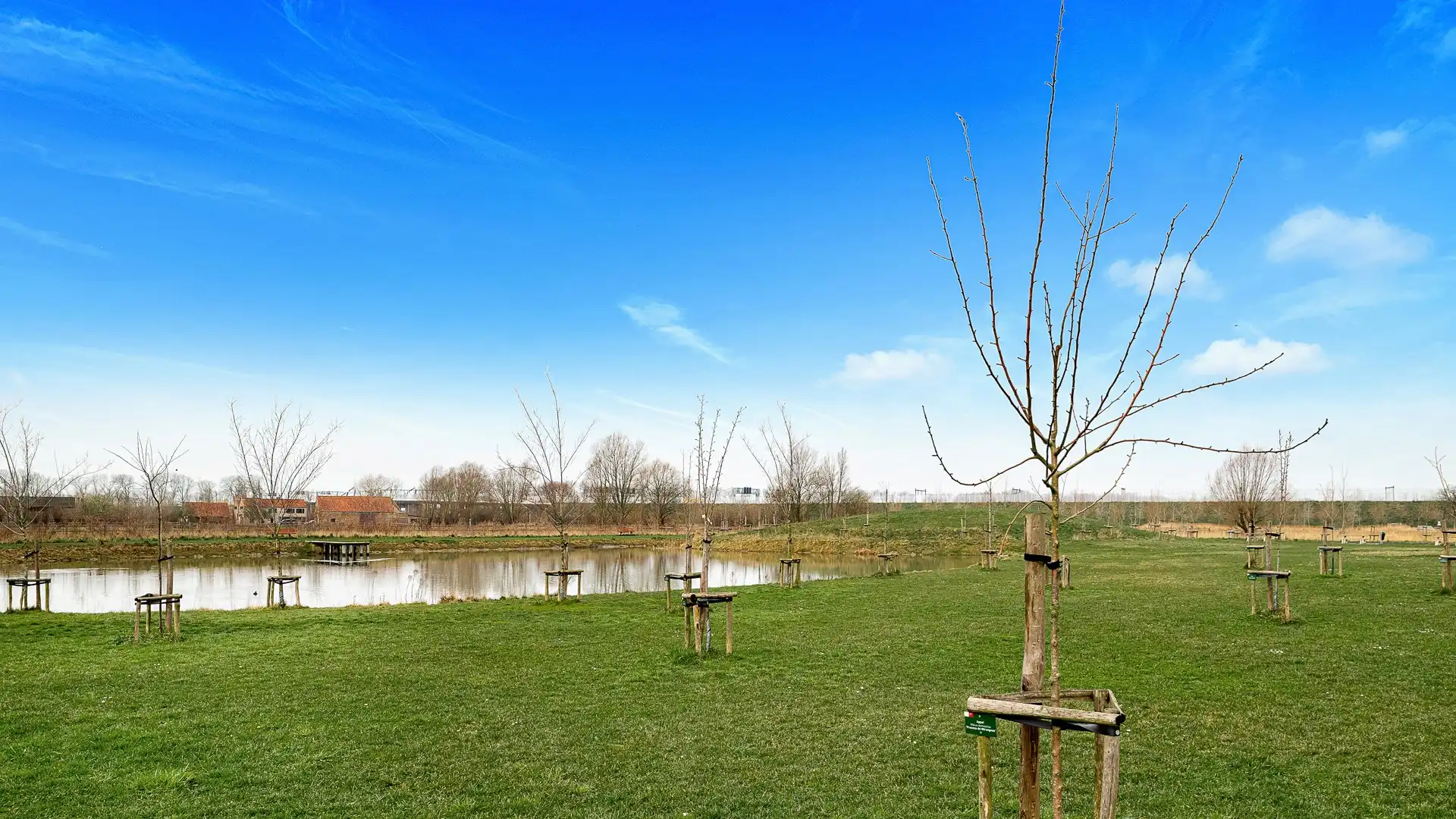 Charmante woning met garage, zonnige tuin en wijnkelder in Dudzele  foto 20