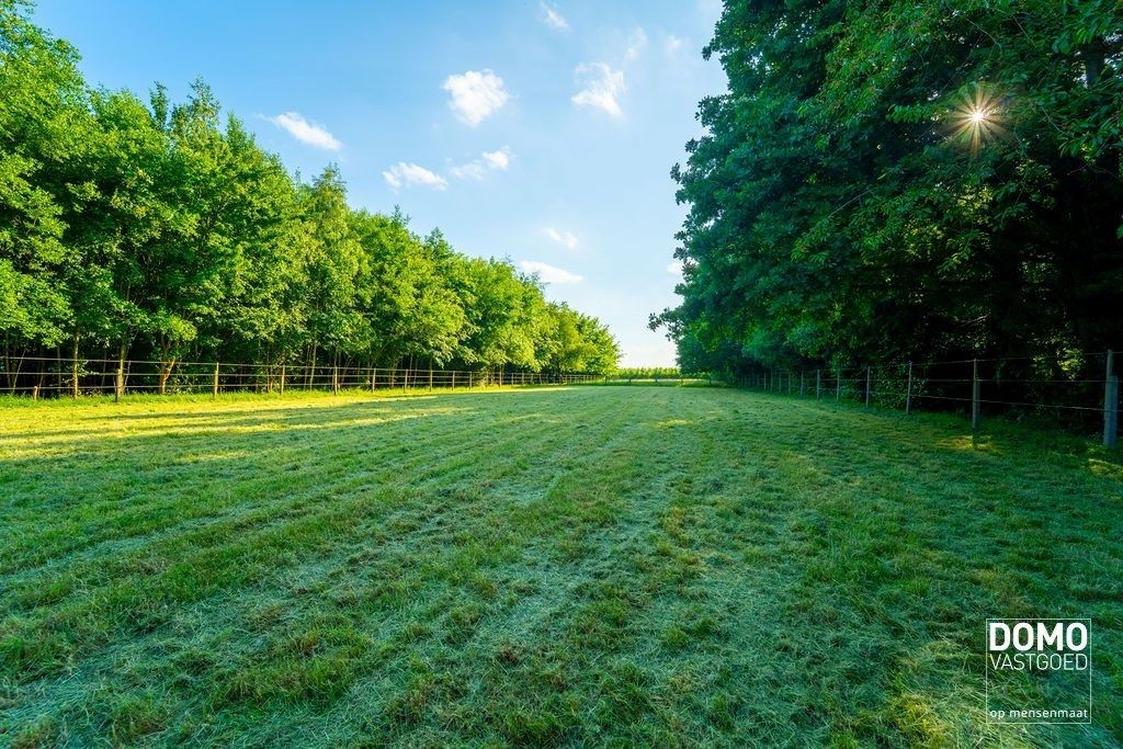 Ruime villa met paardenaccommodatie en wedstrijdstal gelegen te Herk-de-Stad - EPC-label: B - Bewoonbare vloeroppervlakte: 296m² foto 32