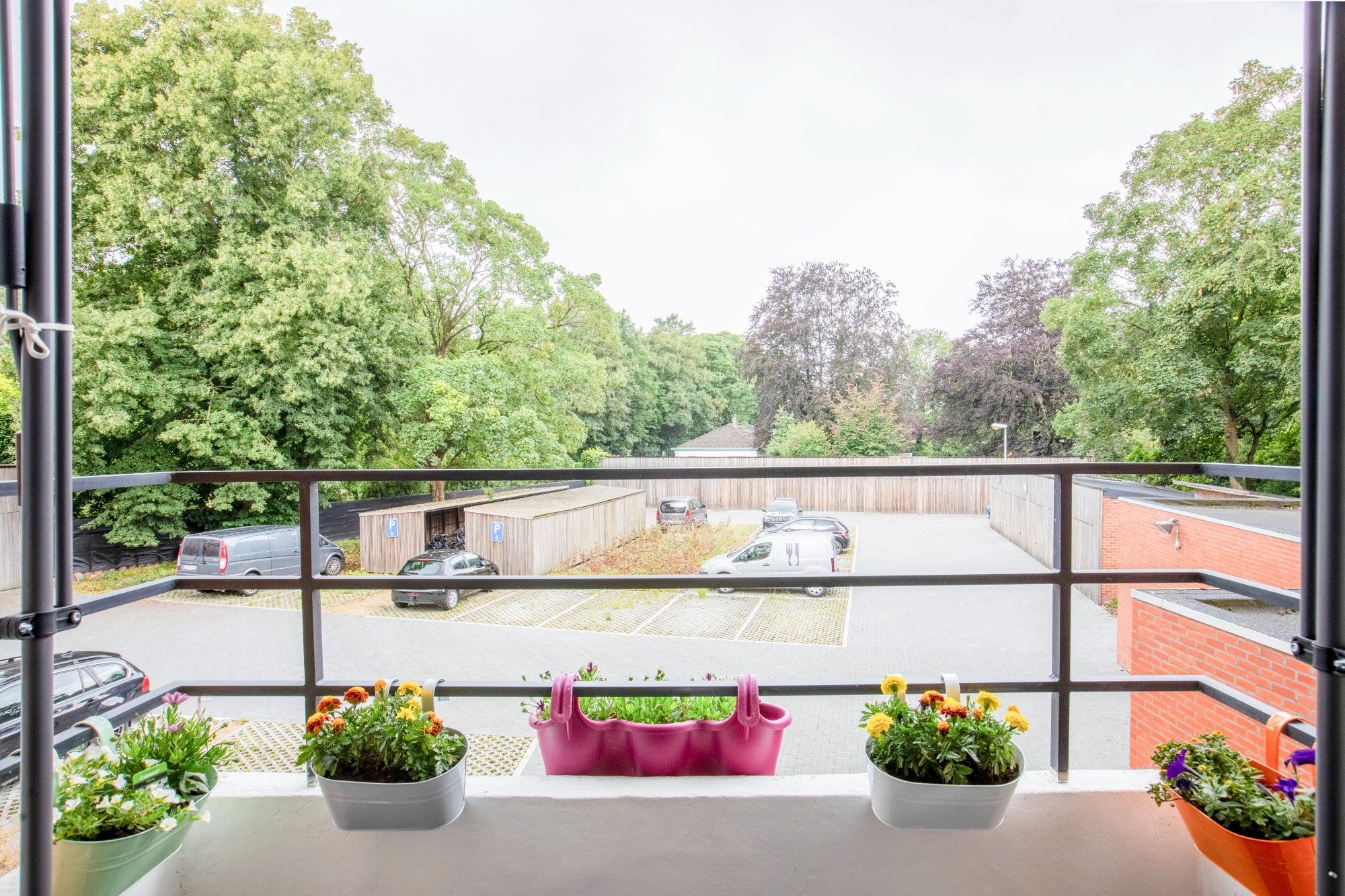 Instapklaar éénslaapkamerappartement met terras in centrum Beveren foto 12