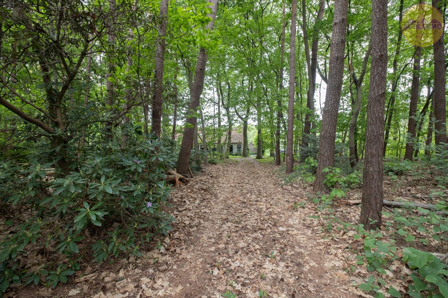 Chalet op groene locatie te Meerhout op een perceel recreatiegebied van 44a19ca foto 25