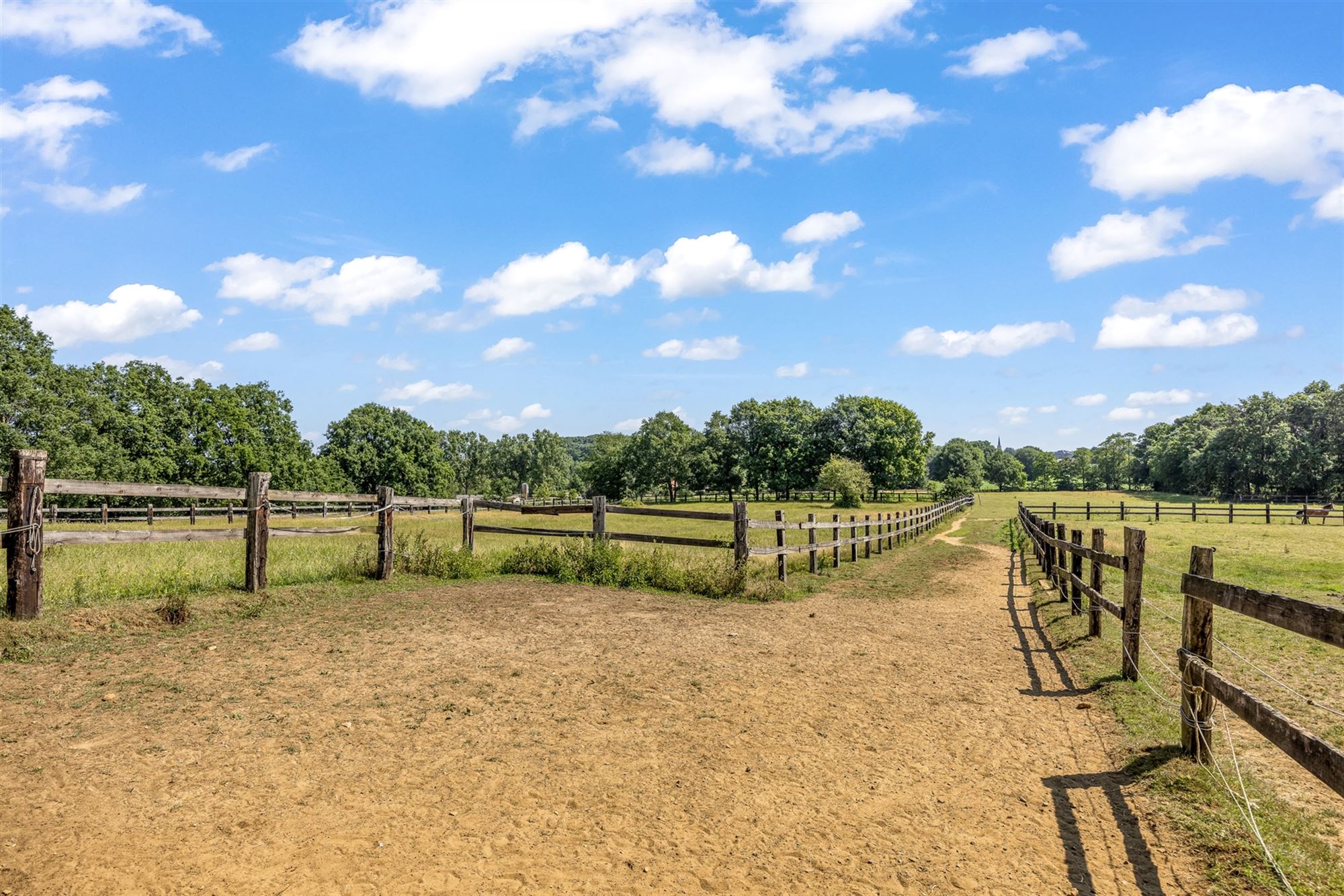 UNIEKE EIGENDOM MET 24 PAARDENSTALLEN EN BINNENPISTE OP CA 10 HECTARE TE PAAL-BERINGEN foto 45