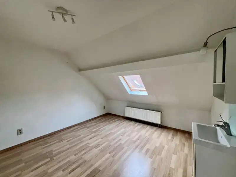 RIJWONING MET DRIE SLAAPKAMERS EN GEPLAVEIDE KOER foto 11