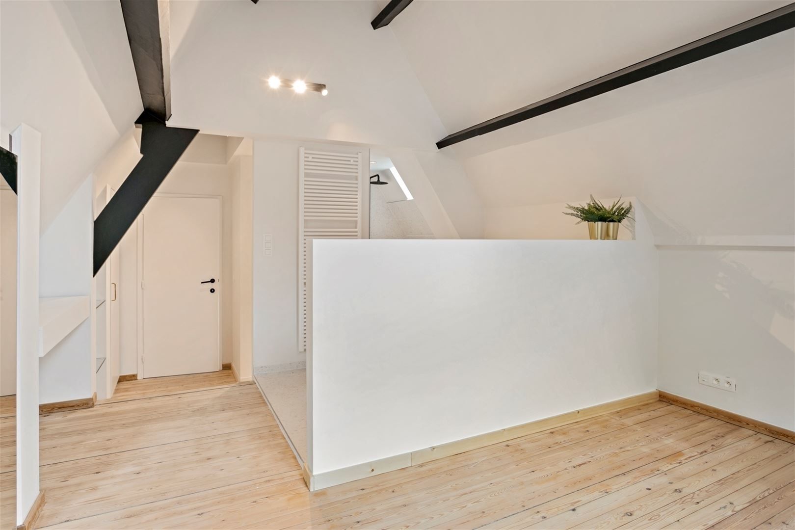 Unieke woning met garage in historisch centrum van Antwerpen foto 13