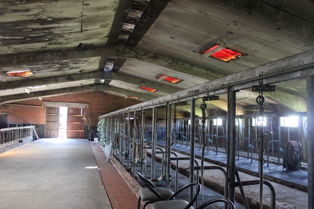Hoeve met ruime stallen/loods te koop te Kortemark foto 10