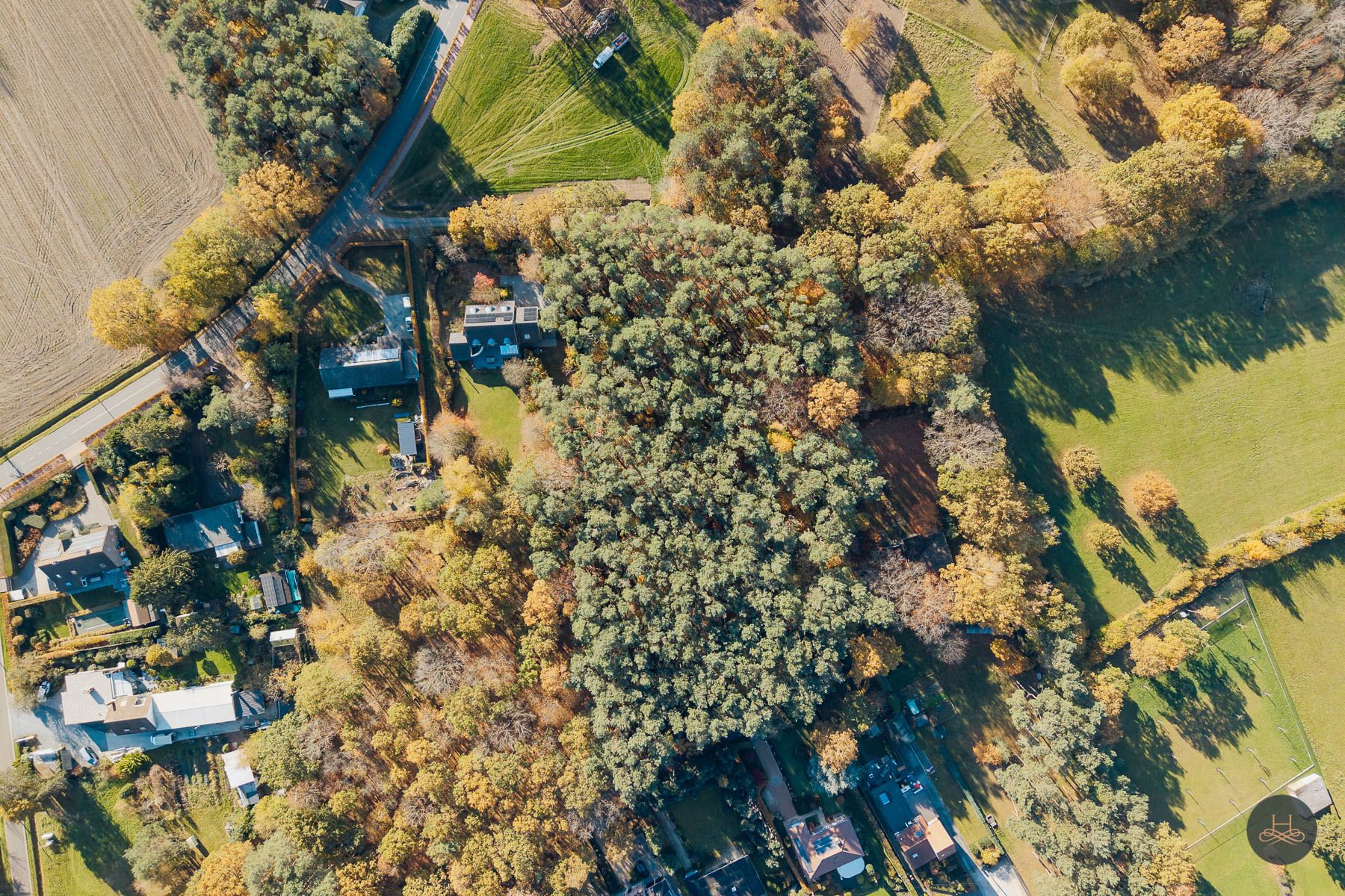 Imposante, zuinige villa in het groen met een open zicht  foto 4