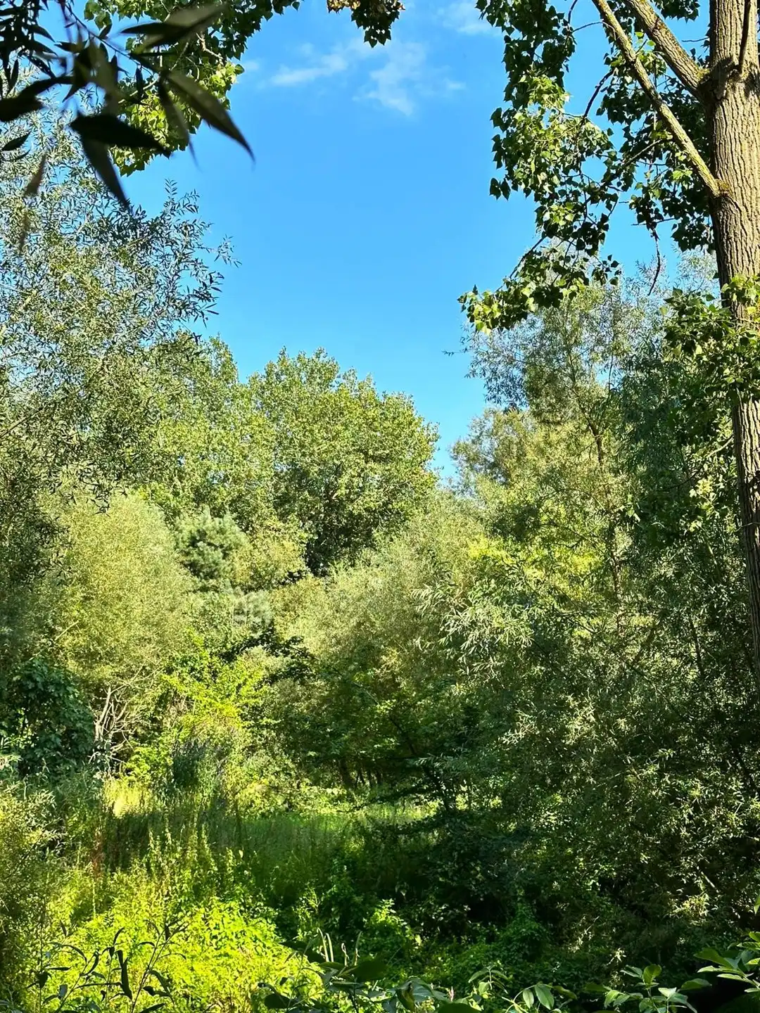 Villa te koop foto 19