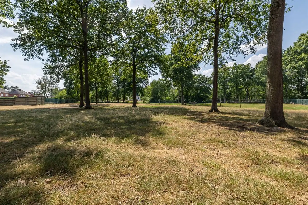 Landelijk wonen op uitzonderlijk perceel van 1ha50a met volop ruimte, privacy en mogelijkheden foto 52