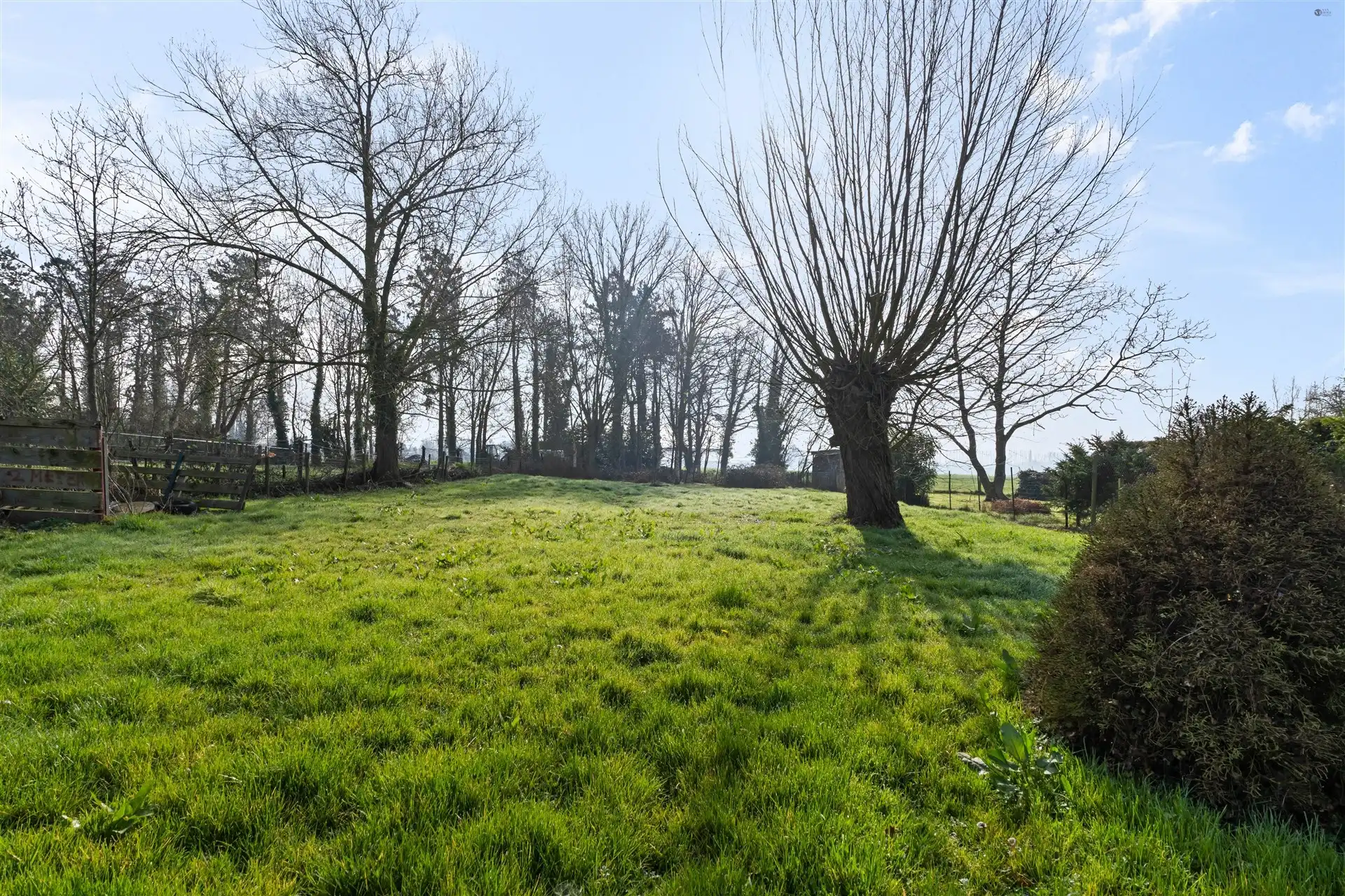 Open bebouwing te Stekene  foto 2