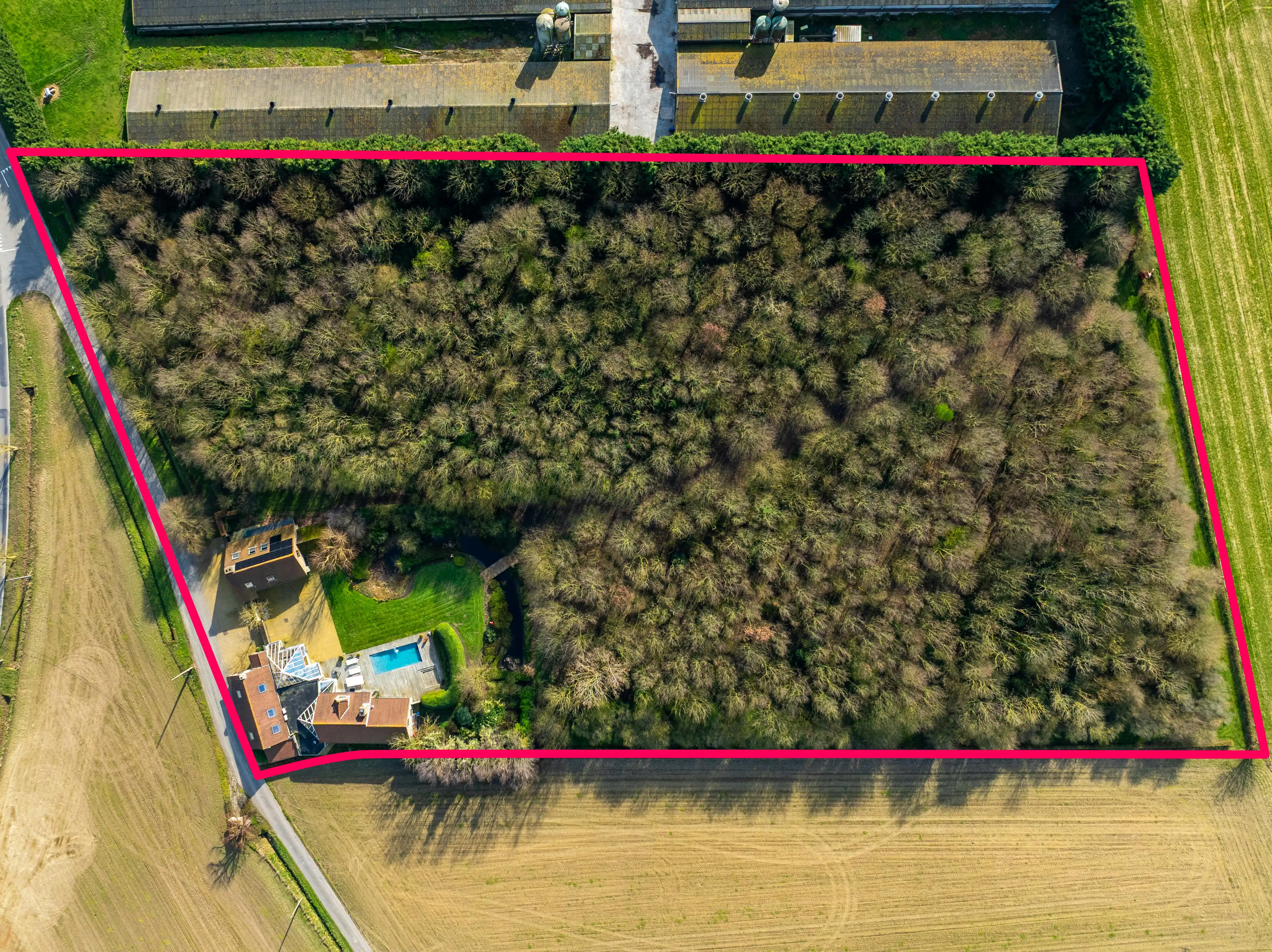 Exclusieve villa met tuin en zwembad op 1,6 ha in Krombeke foto 2