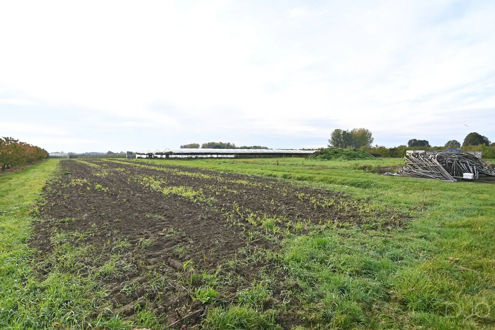 Pachtvrije landbouwgrond van 3ha 65a 46ca met volledige uitrusting – Gippershovenstraat, Zepperen foto 4