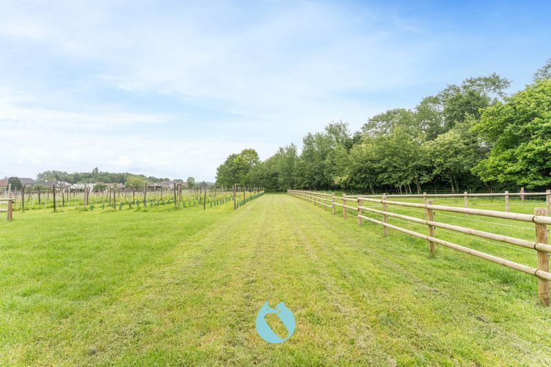 Veelzijdige eigendom op 14.569m² ten noorden van Gent foto 32