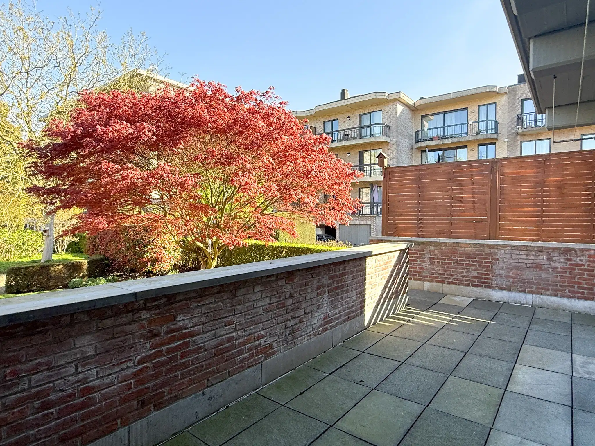 Gunstig gelegen appartement dichtbij het centrum van Beveren foto 15