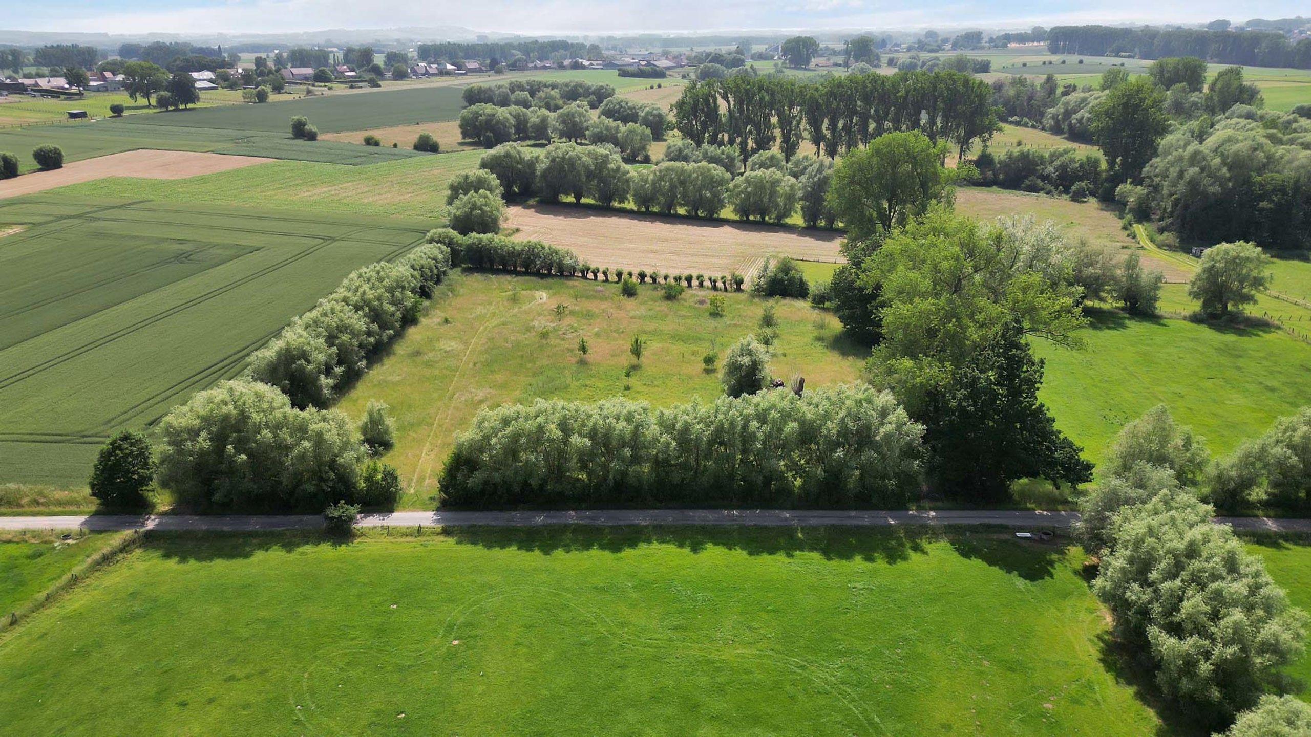 Weideland op een goede locatie foto 2