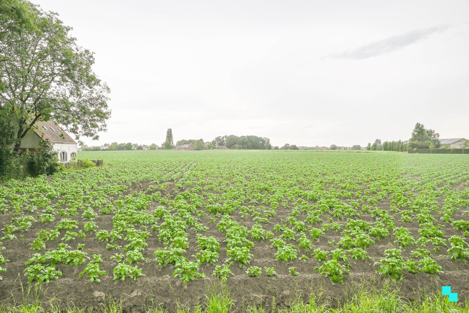 Interessante eigendom op landelijke ligging te Oostrozebeke foto 28