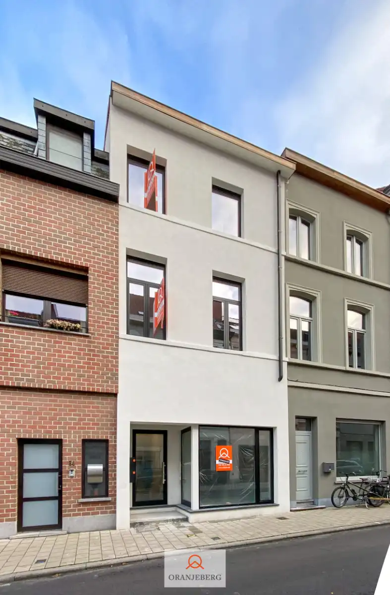 Gerenoveerd 1 slaapkamer appartement foto 24
