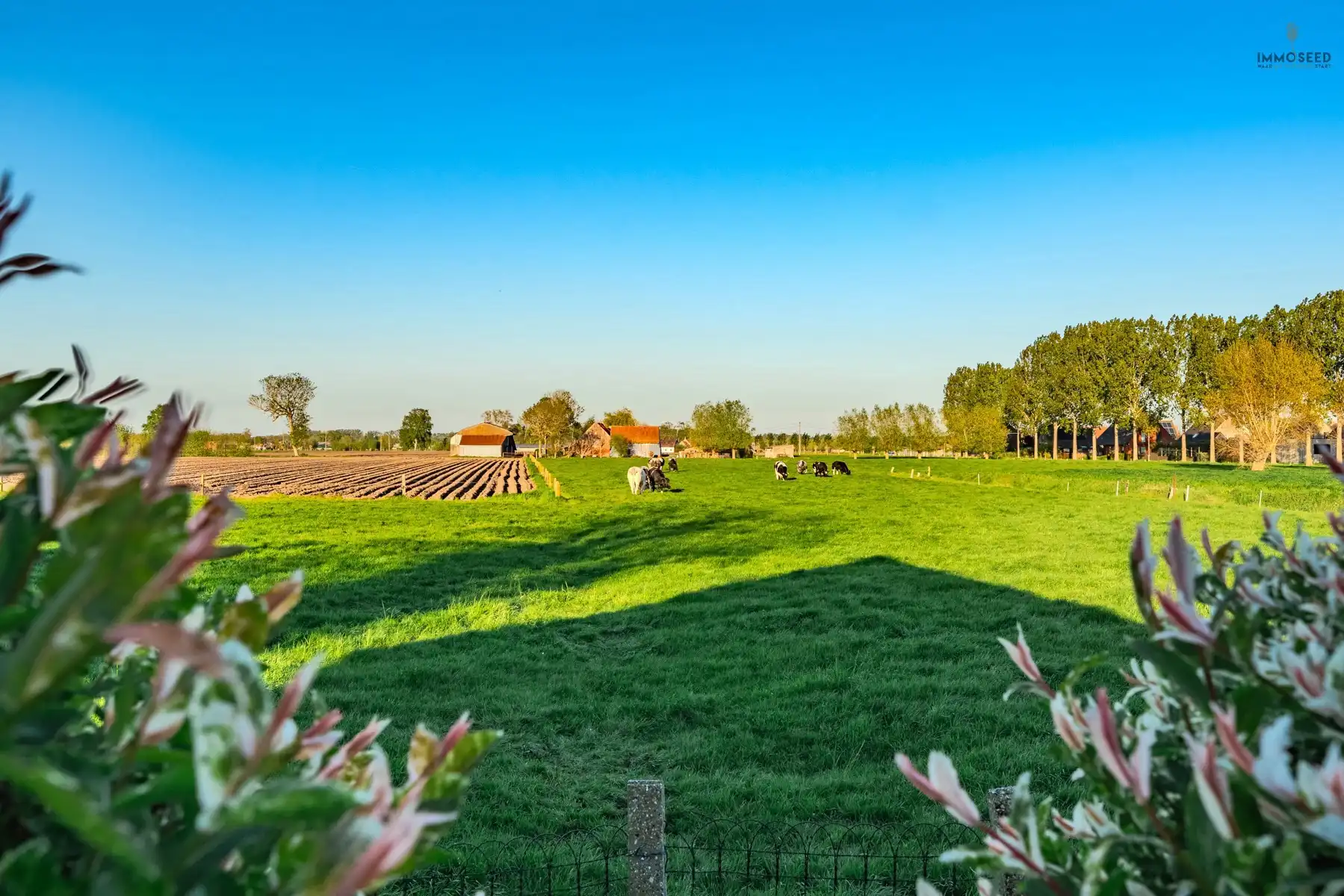 Verrassend ruime woning met verzichten foto 12