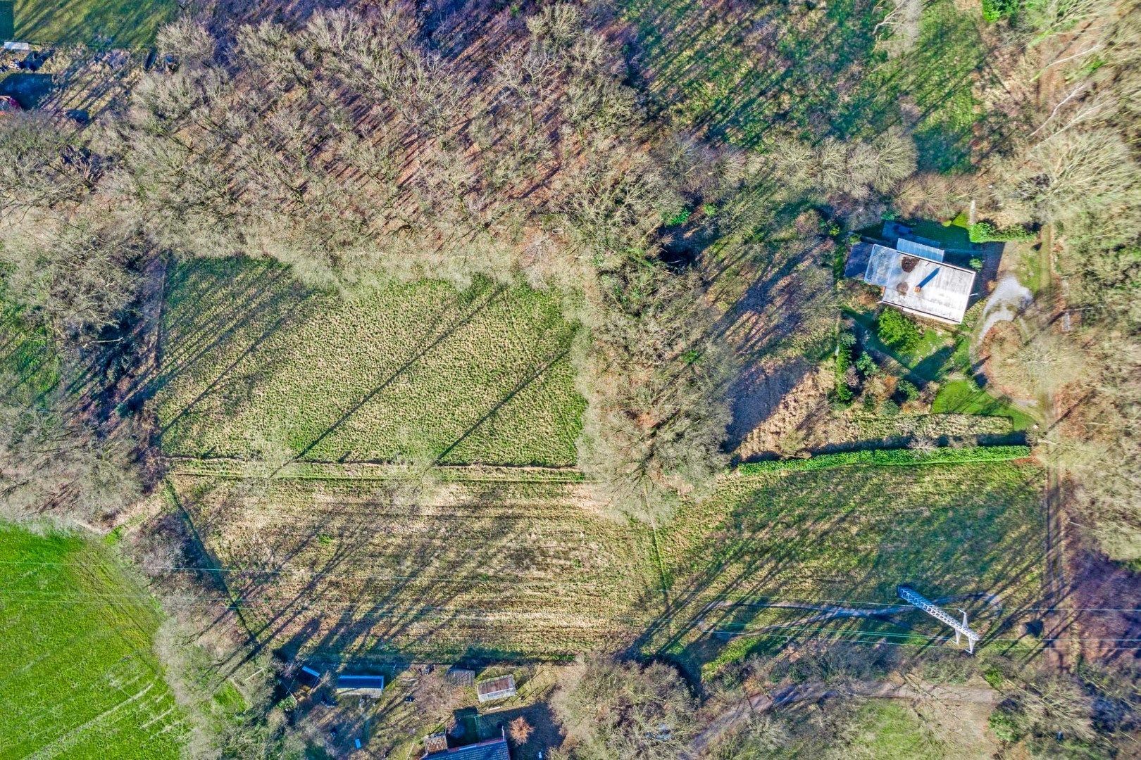 Unieke woonst op 620 are: rust, natuur en eindeloze mogelijkheden! foto 18