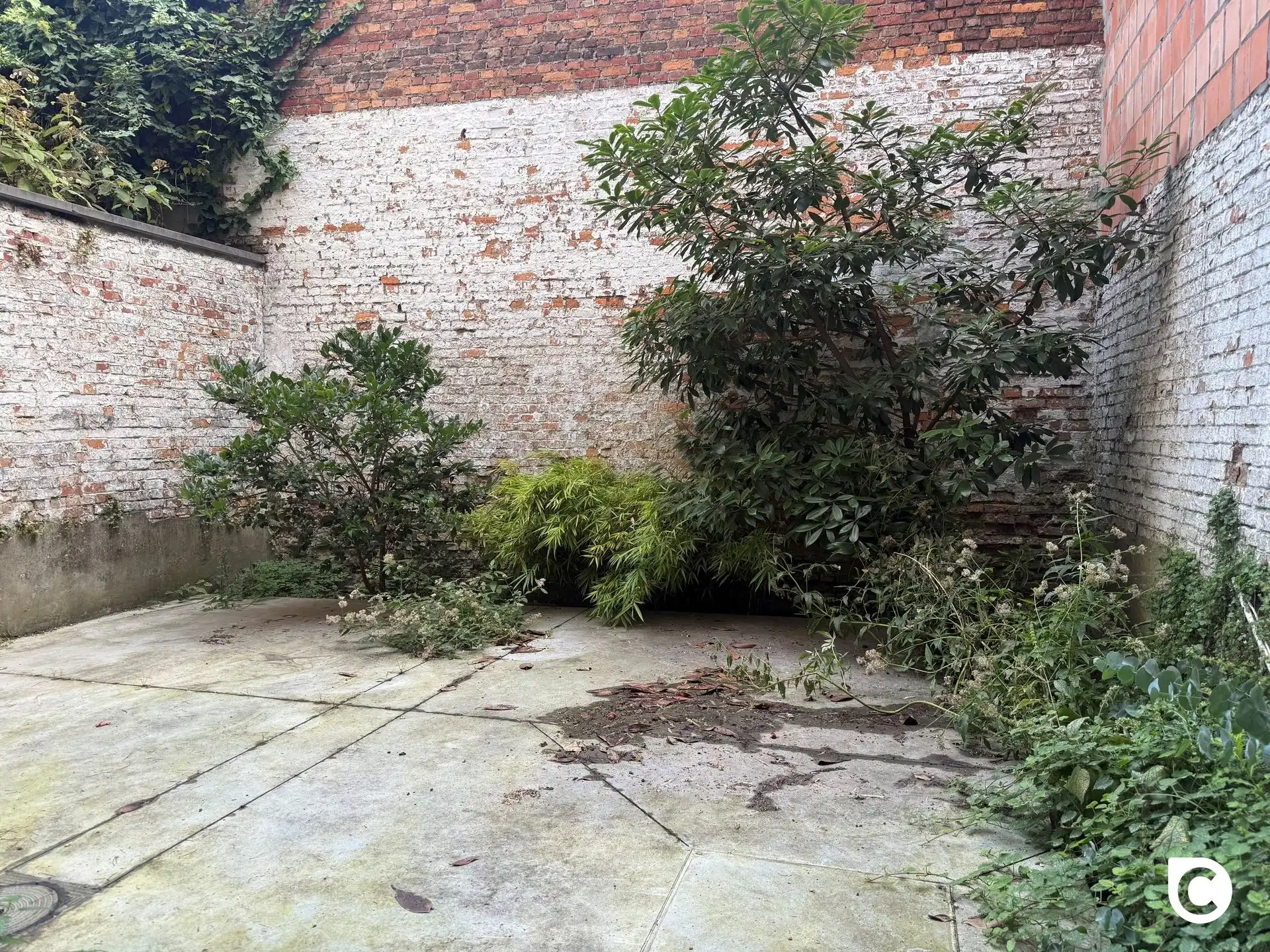 Gelijkvloers app. 1 slk + tuin foto 3