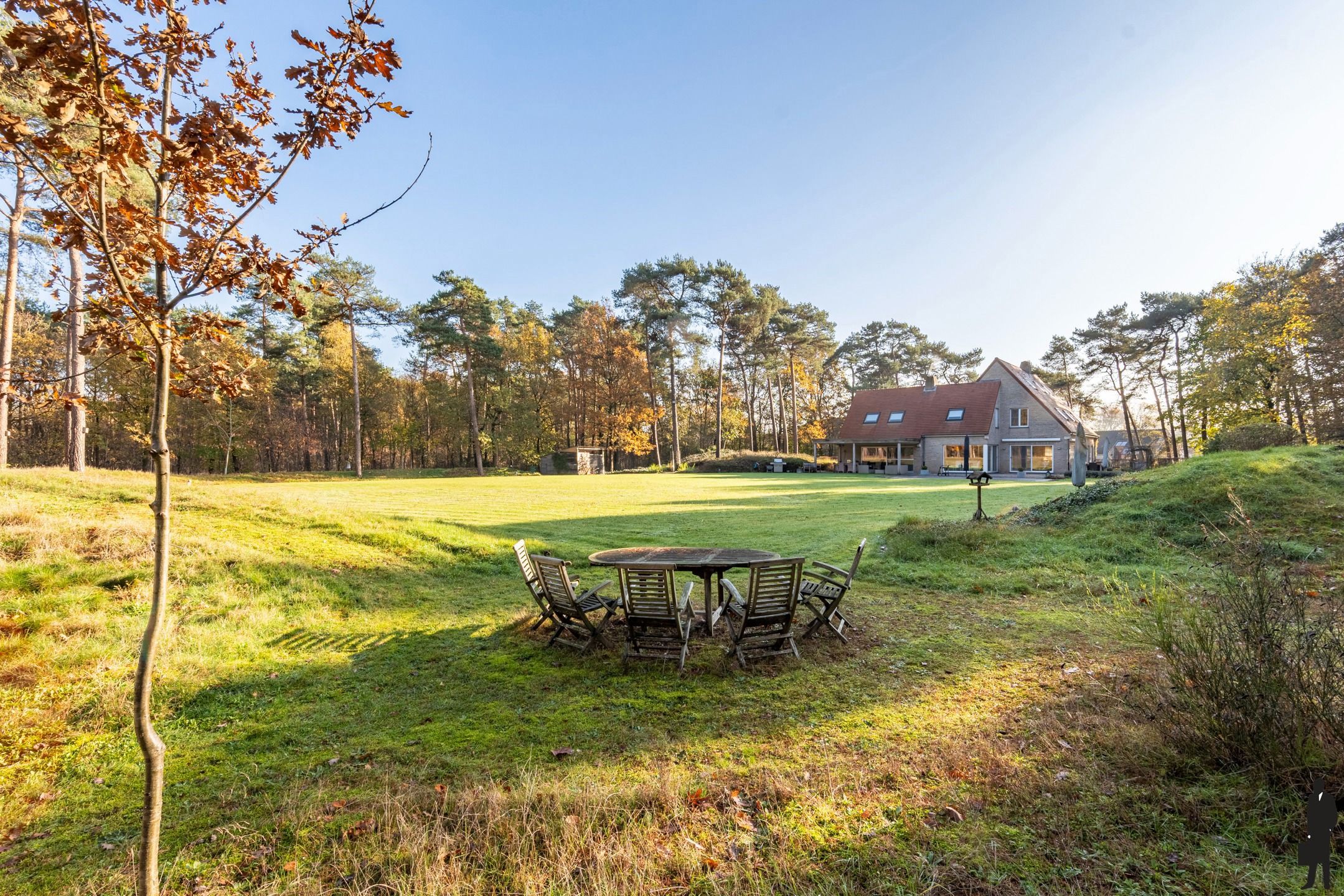 Villa met zwembad en privébos volledig omheind in Retie foto 24