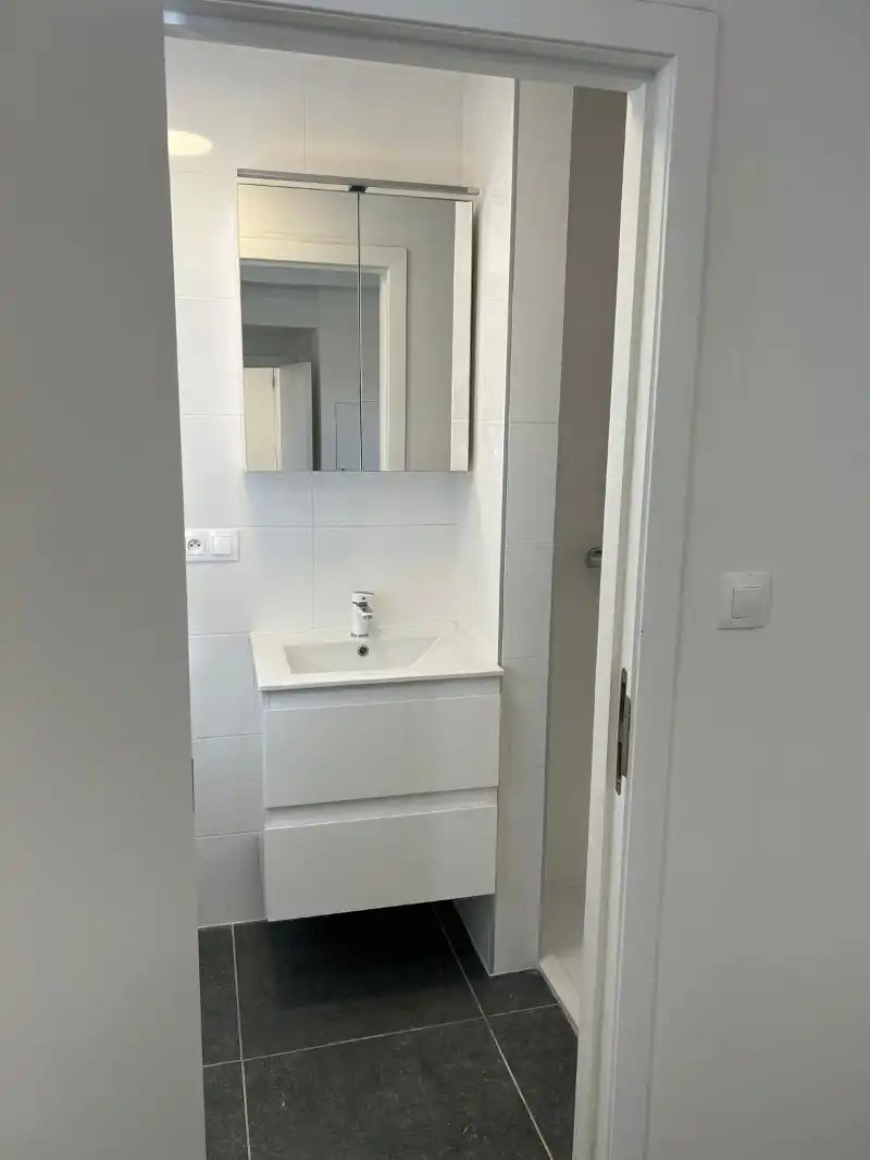 Volledig gerenoveerd  1-slaapkamerappartment foto 25