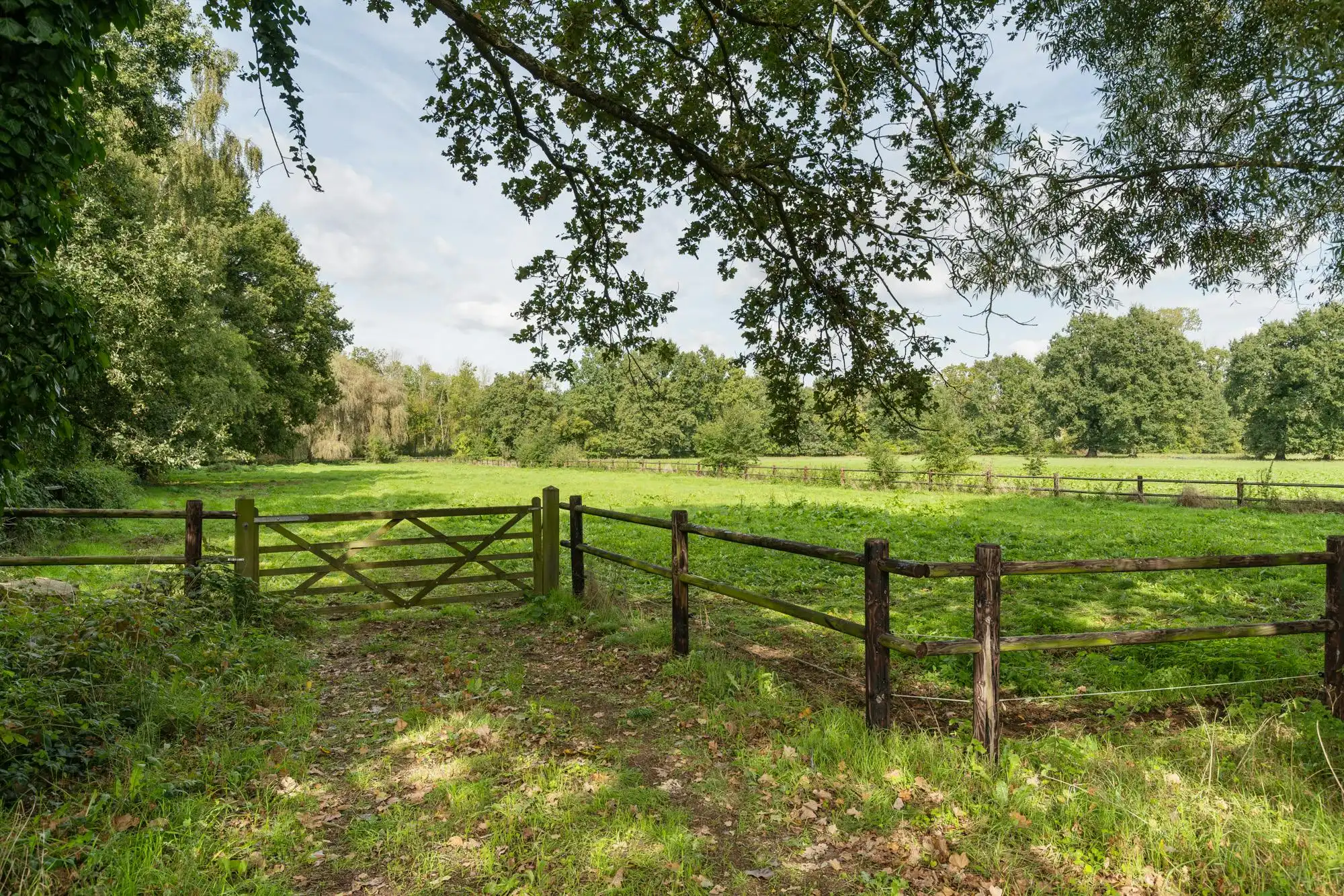 Exclusief landhuis op 80 are met ruimte voor wonen en werken foto 2