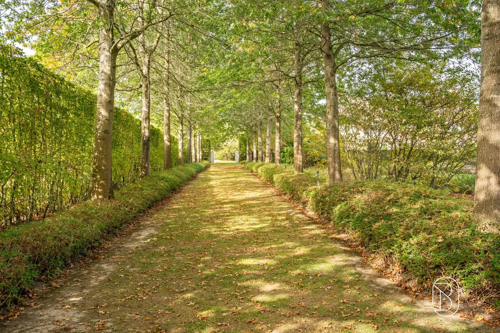 Klassevilla op méér dan 1 hectare, met prachtig zicht!  foto 35