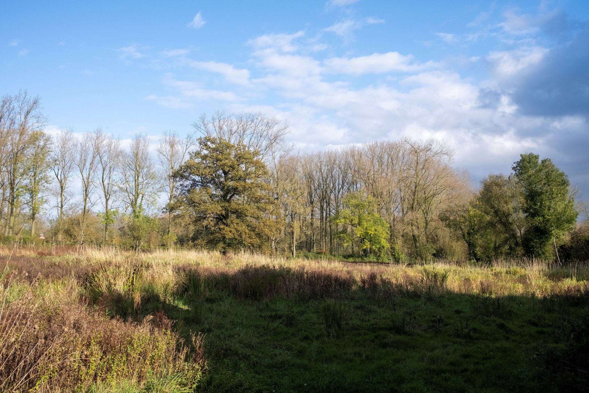 Monumentale Engelsmolen te koop op 3,4 hectare en verschillende mogelijkheden foto 4