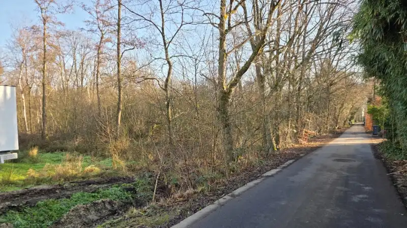 Bouwgrond van 12 are met perceelsbreedte van 24 meter foto 3