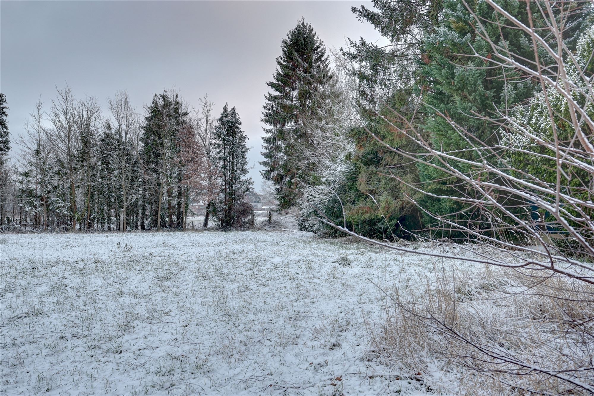 Idyllische paardenweide / bosgrond in Bonheiden foto 11