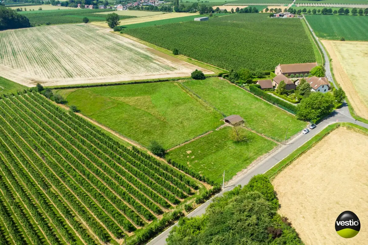 EXCLUSIEVE HOEVE MET MEERDERE WOONGEDEELTES, ATELIER, STALLING en AANPALENDE WEIDE OP CA. 1,6 HECTARE NABIJ DOMEIN NIEUWENHOVEN. foto 6