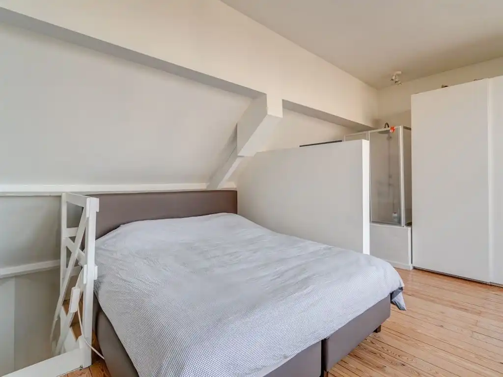 Hip duplex-appartement aan Albertpark foto 6