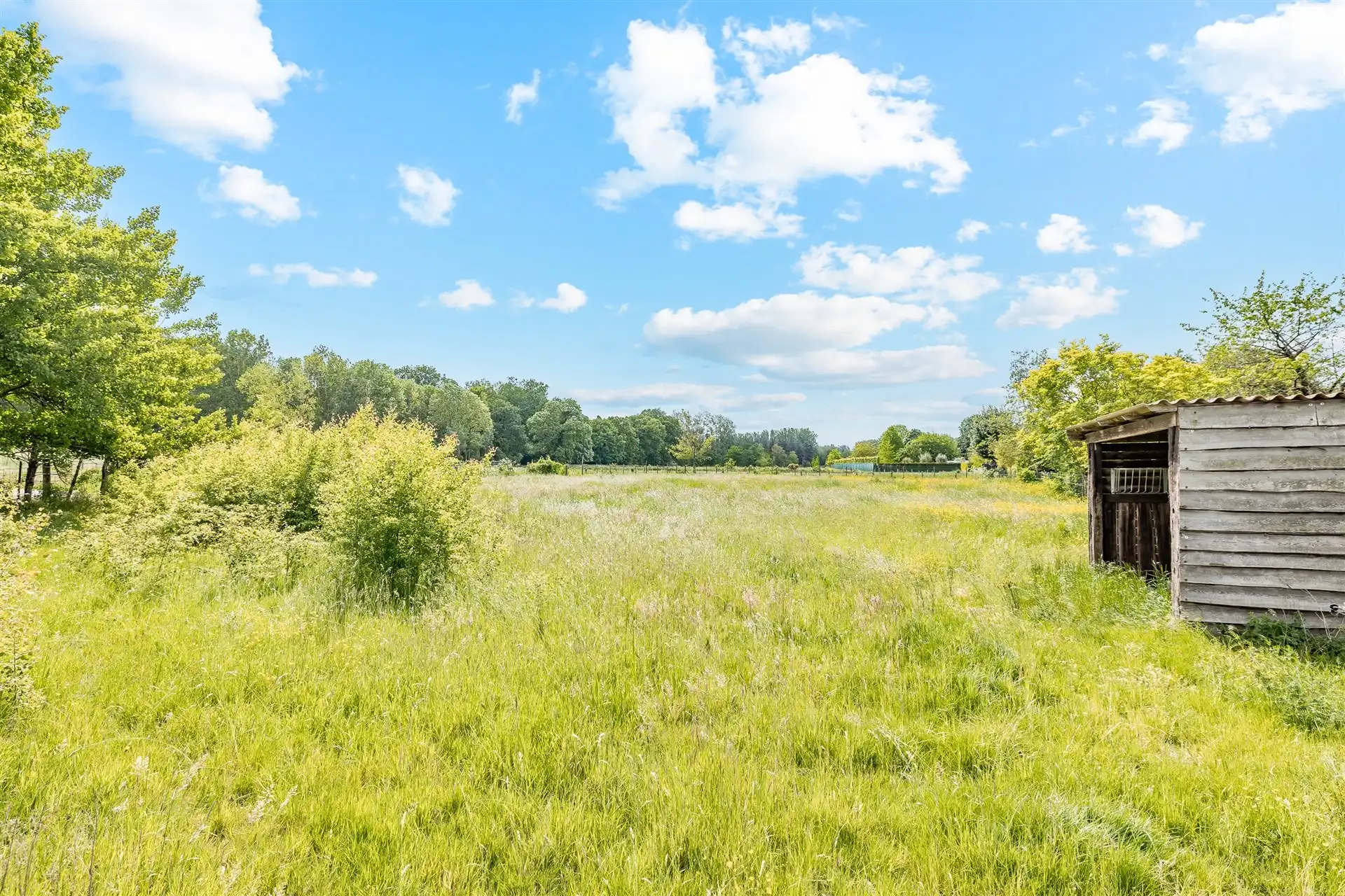 Charmante villa met zwembad op een mooi perceel van 942 m²  foto 18