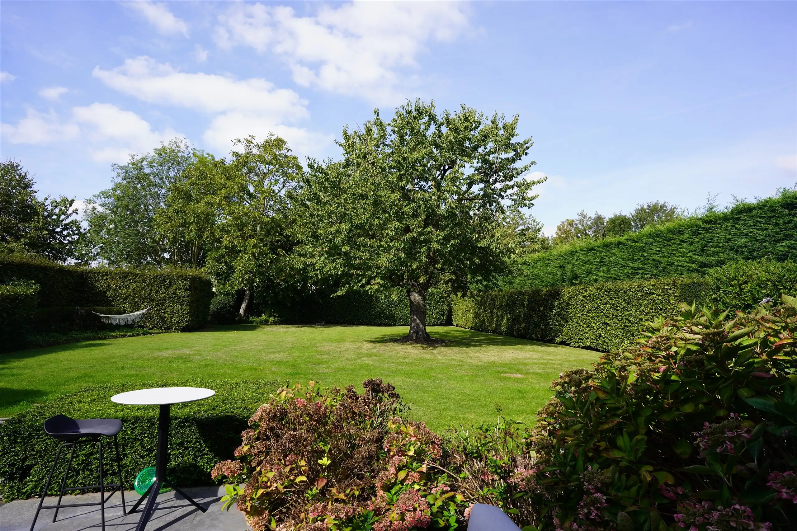 Totaal gerenoveerde eigendom op 1.245 m² nabij Kortrijk foto 5
