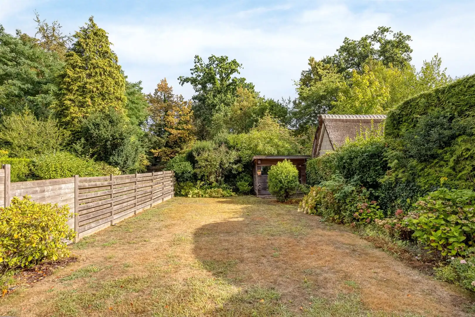 Ruime halfopen woning in het groene Mariaburg-Brasschaat foto 4