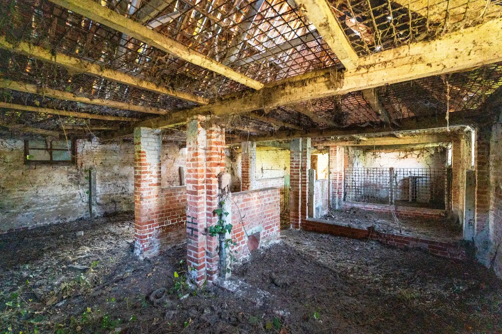 Authentieke hofstede op ca. 5,5 hectare – een oase van rust, groen en ruimte foto 31