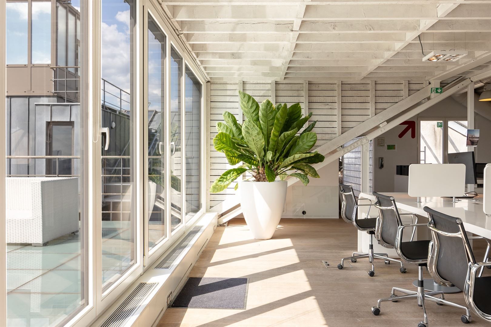 Loft met huge terras  foto 18