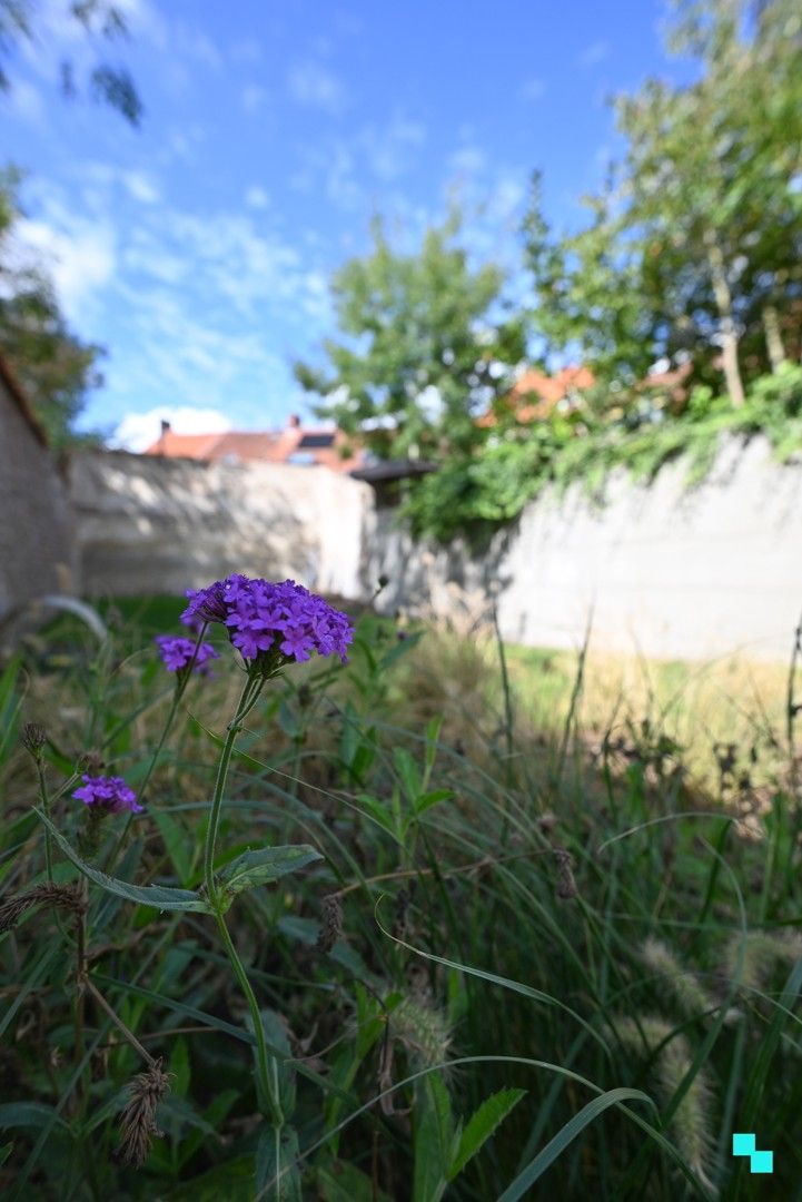 Prachtig & compleet gerenoveerde burgerwoning in hartje Izegem foto 15