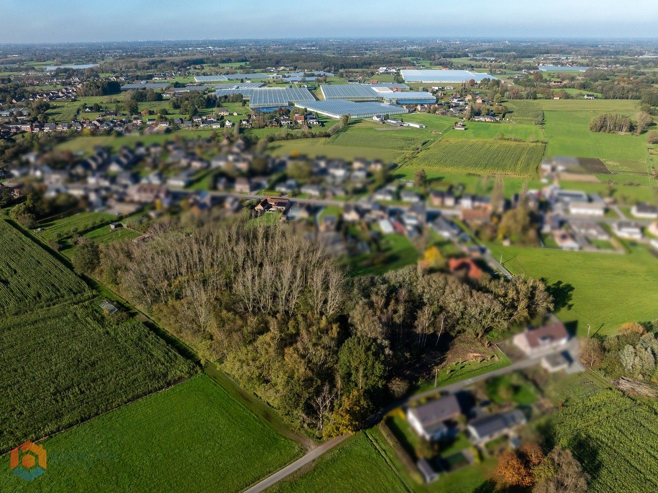 Hoeve op prachtig perceel met mogelijkheid vrij beroep en 5 slpkrs foto 30