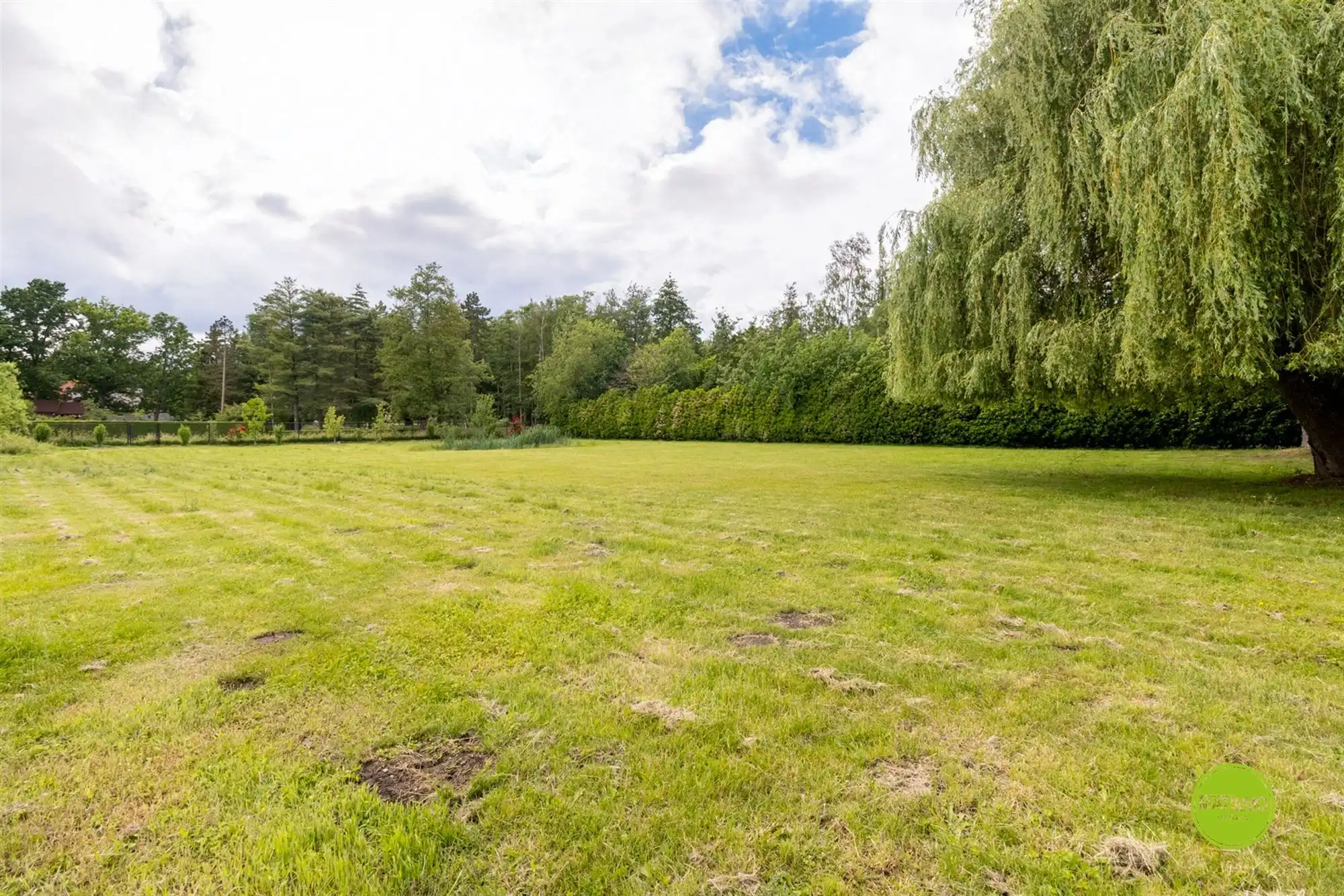 Ruime open bebouwing op een prachtig perceel van 3.764 m² foto 28