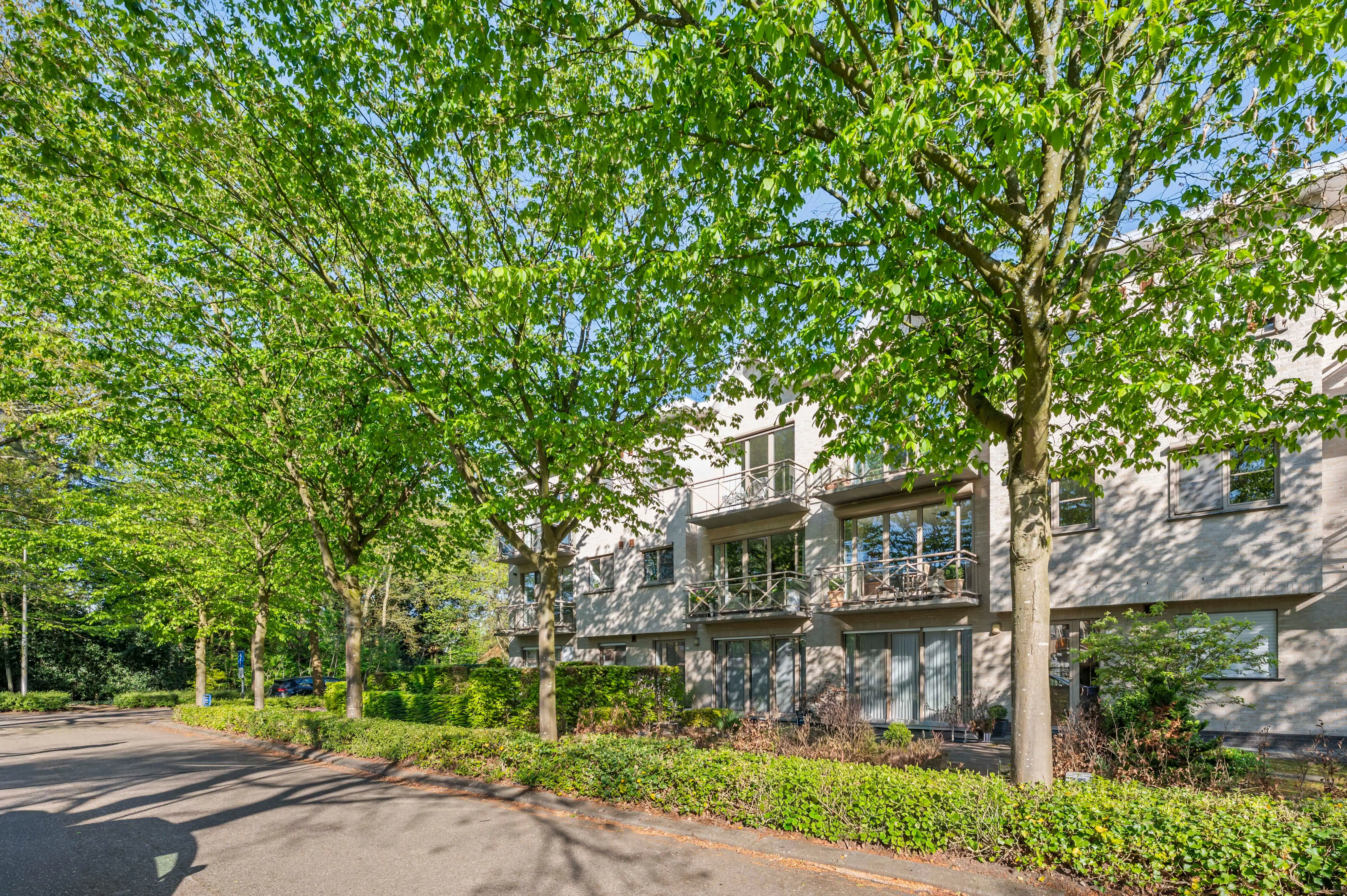 Instapklaar appartement met zonnig terras en garagebox in Brasschaat! foto 23