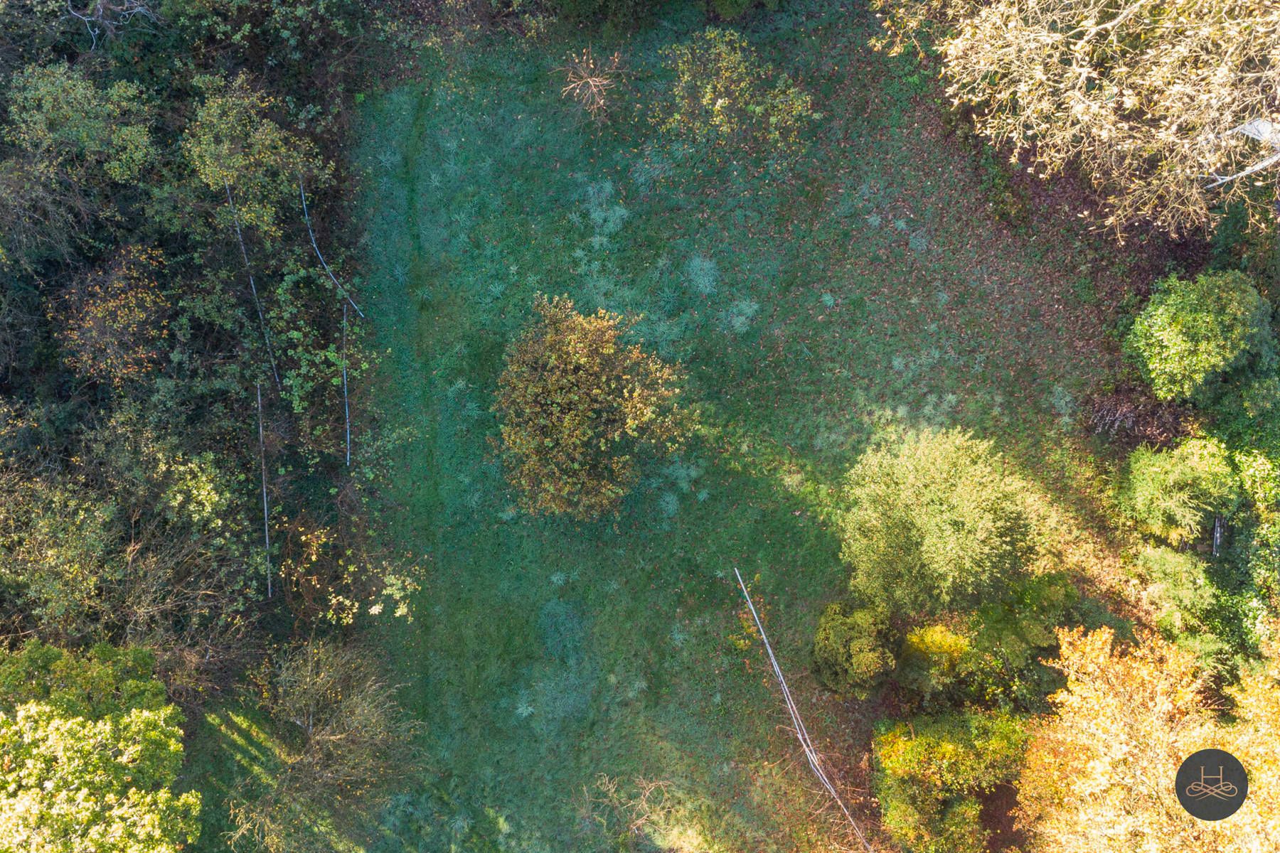 Zeer ruime bouwgrond in rustige, groene buurt  foto 6