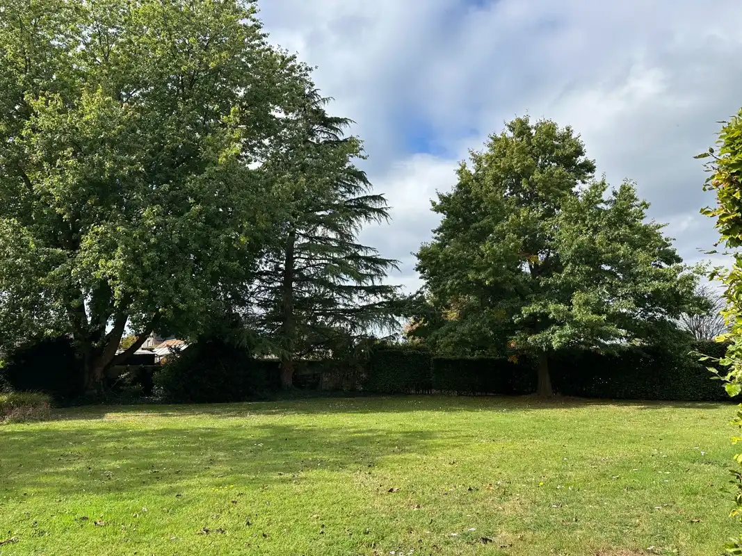 Prachtige ZW gerichte bouwgrond van 941 m² met volwassen tuin. foto 5