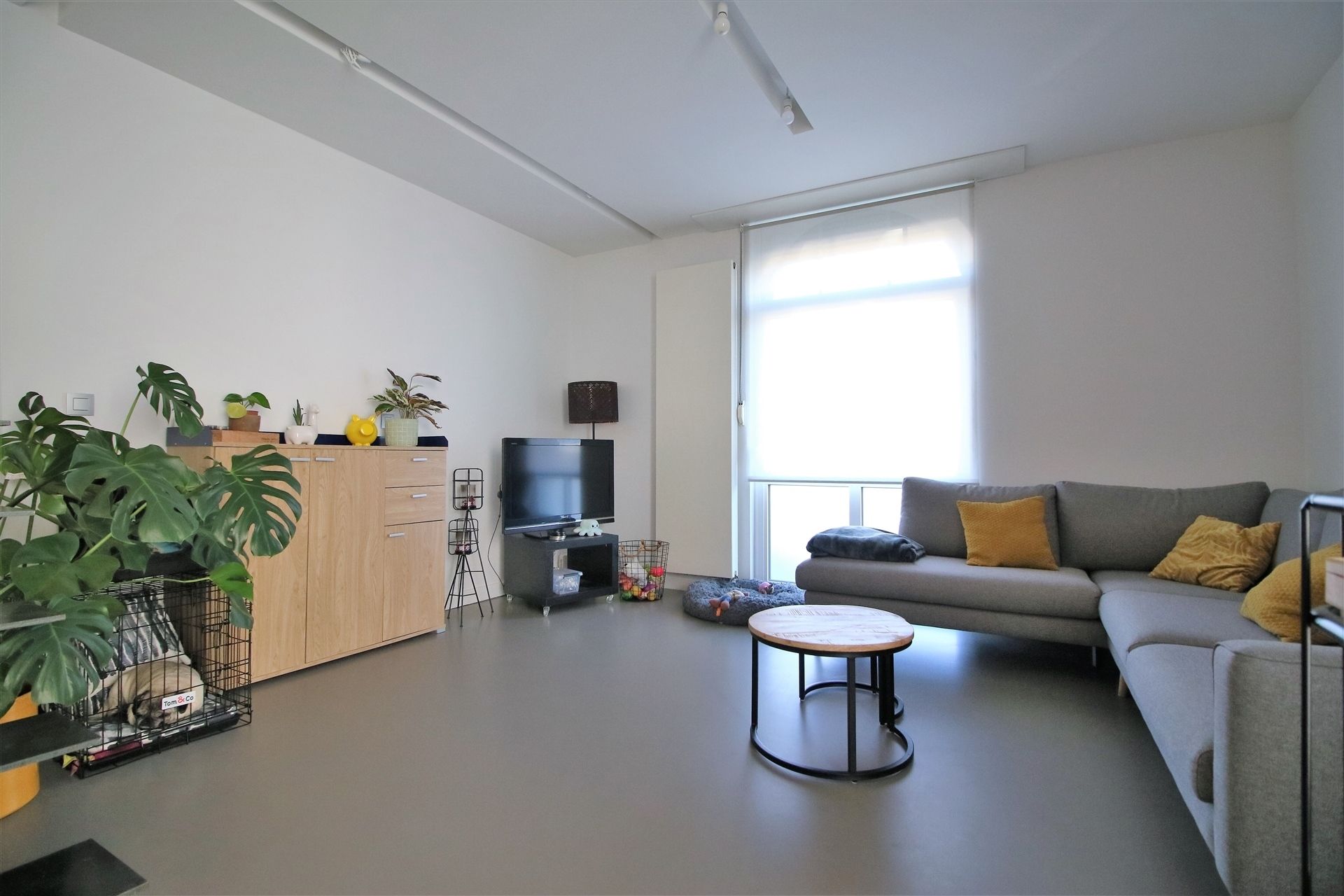 Gezellig appartement op gelijkvl en 1ste verd foto 3