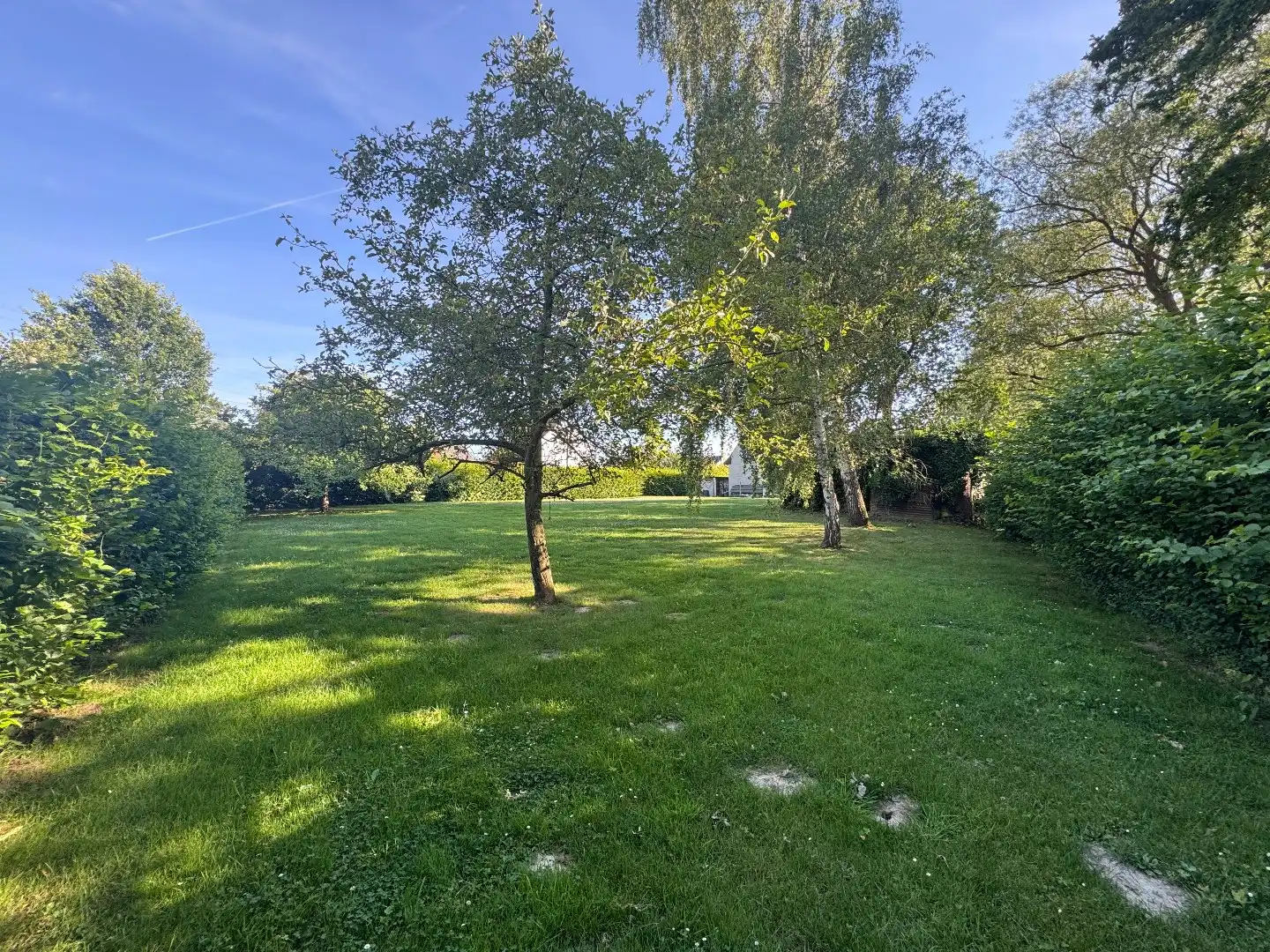 achteringelegen huis op ruim perceel  foto 6