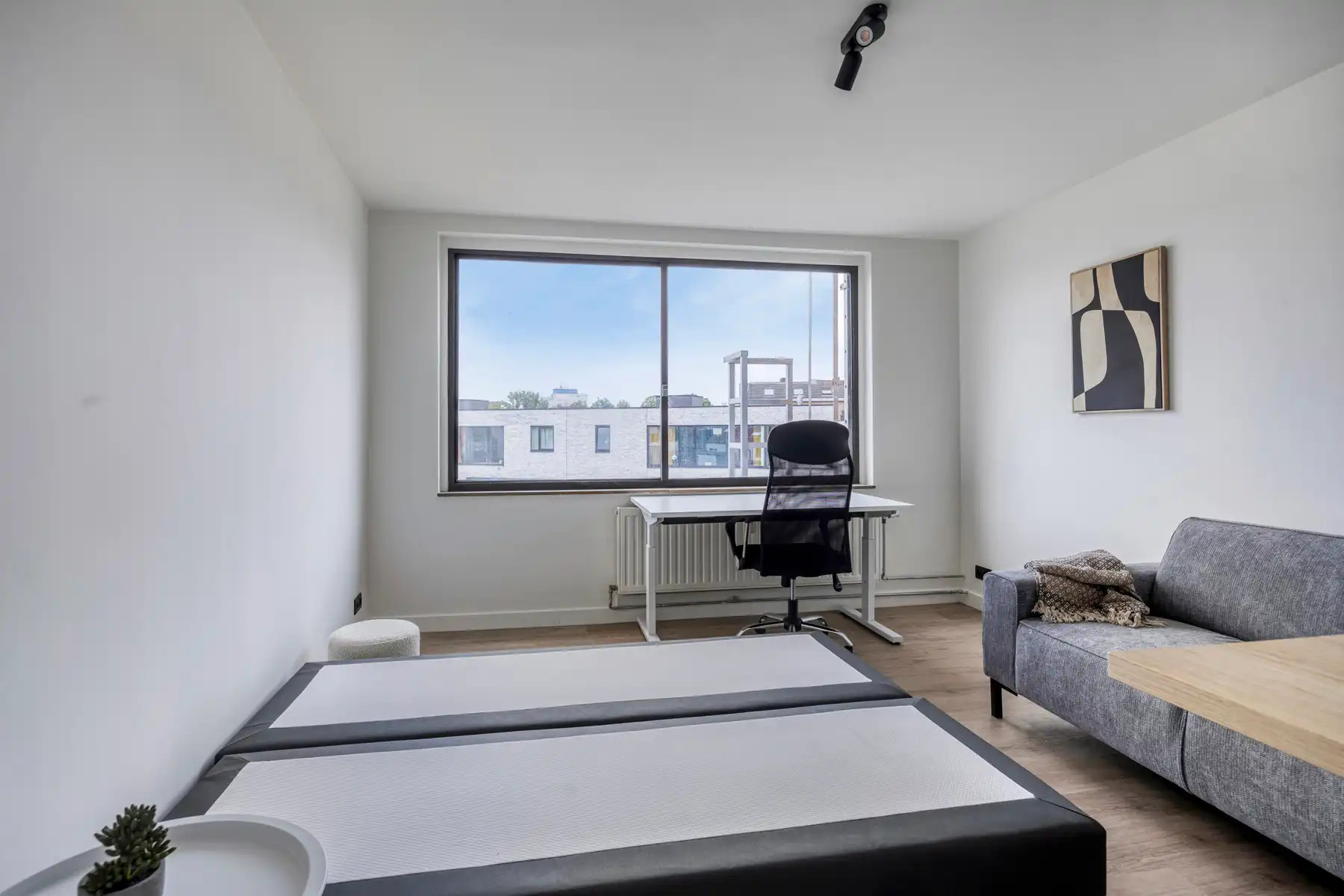 Studio rustig genot Vesaliussite foto 5